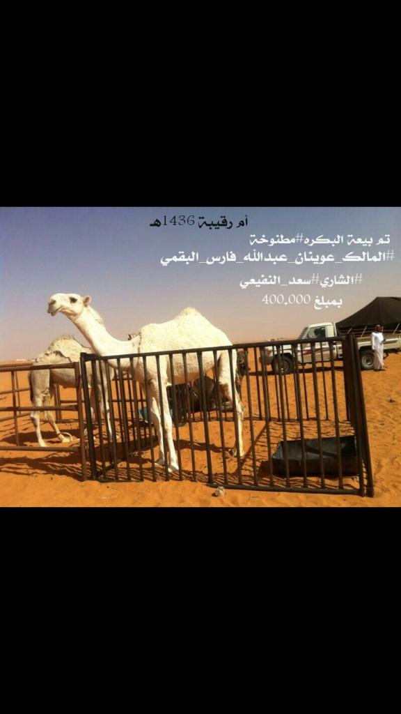ابل قبيله البقوم (@lbgoom911) on Twitter photo 