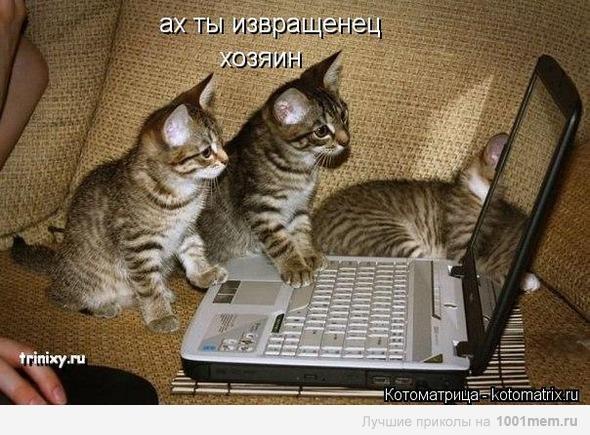 Брутальный Котэ (@bokr74) on Twitter photo 