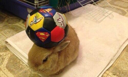 サッカーボール