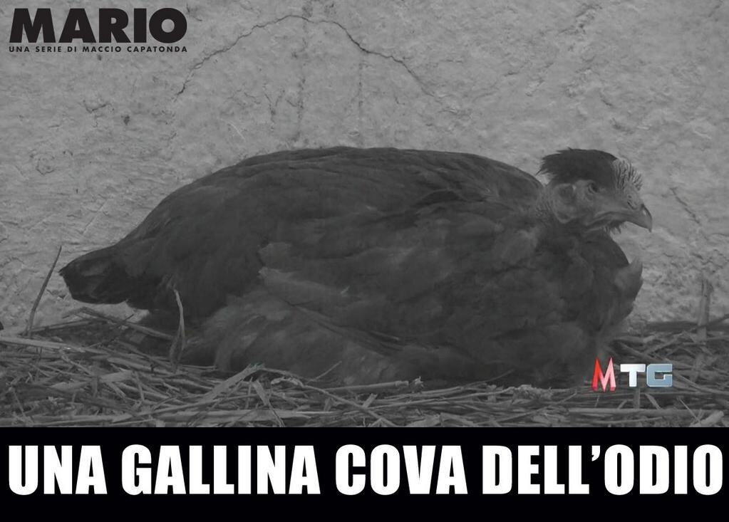 marciocapatonda's tweet photo. http://t.co/2mfD7IqI68