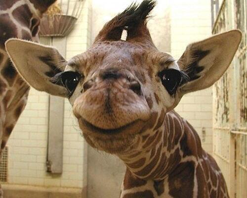 _Paisajes_'s tweet photo. Comparte tu sonrisa. http://t.co/wNpoF1PYjH