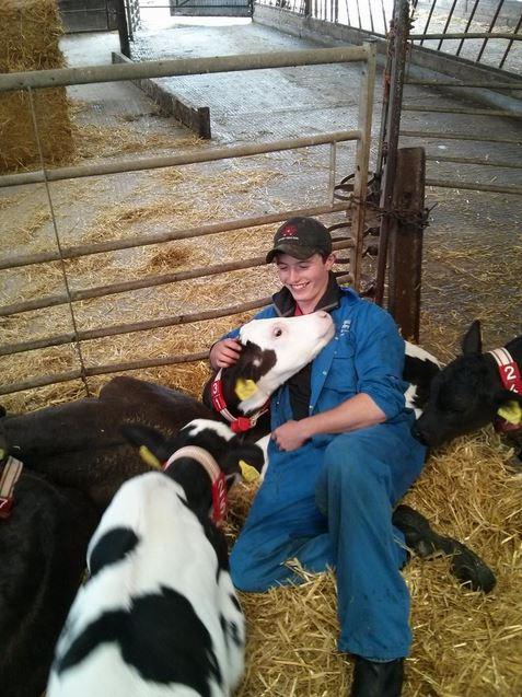 Thisisdairyfarming tweet media