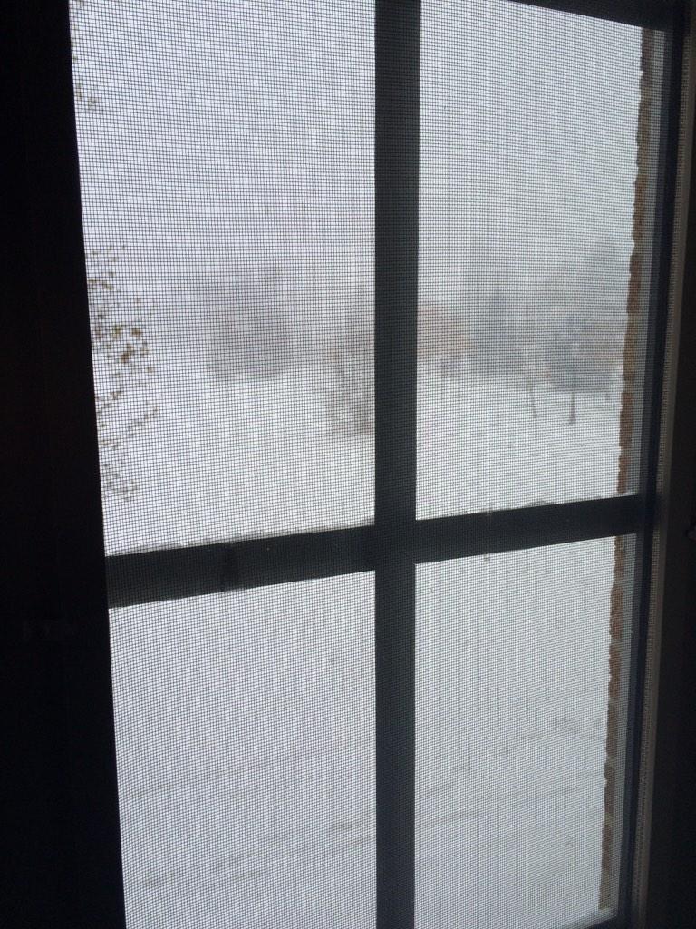 KennedyRicci's tweet photo. Woke up to a lovely blizzard this morning, I think winter has officially started. http://t.co/1kRJ79y6wH