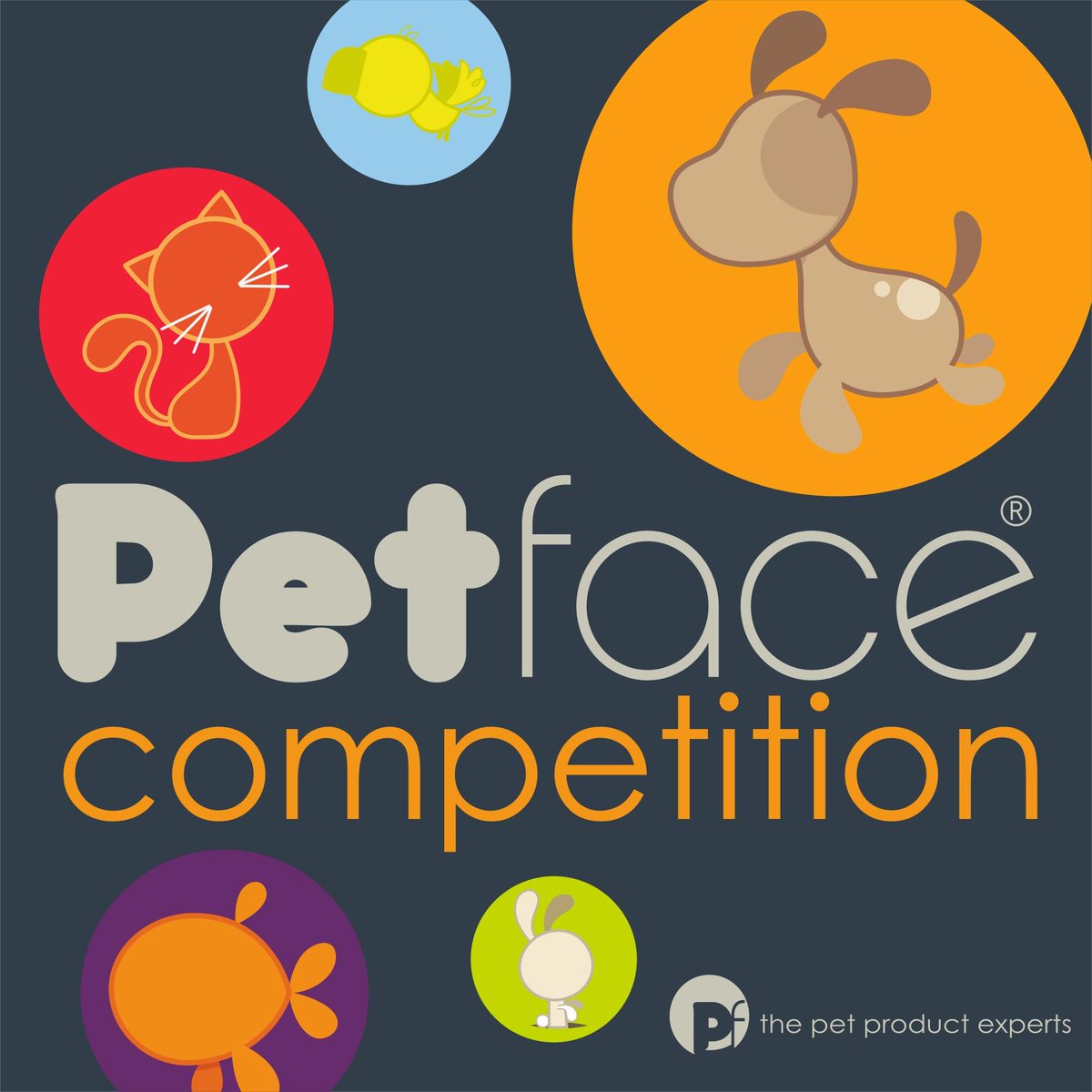 PetfacePets's tweet photo. Does your pet have a funny Tail To Tell? Retweet &amp; tell us your #pet story to enter to #win a #prize. #petface #comp http://t.co/LMITXiNSCE