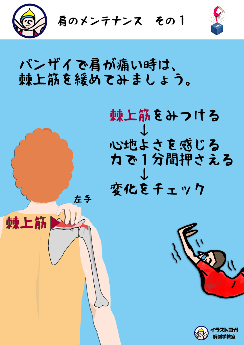 anatomylabo's tweet photo. 今日のテーマは��「肩のメンテナンス　その１」です。

☞http://t.co/frzYGGZLsT

#ヨガ　#yoga     #解剖学 http://t.co/V6m3LoZO2D