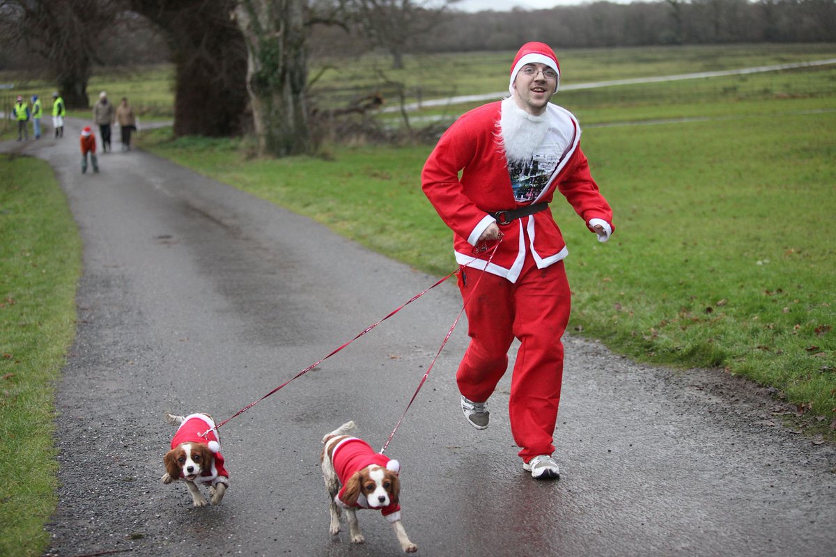 QuestIreland's tweet photo. Are you looking for festive fun for all the family? Come to Killarney for the Santa 5km run. http://t.co/y6Uh35Vz04 http://t.co/RynzR45o8v