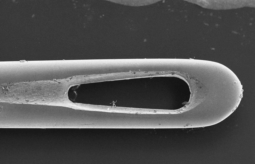 designboom's tweet photo. nano #sculptures by @jontyhurwitz are the same scale as a human sperm #tiny #science http://t.co/7ZjzD7ipFy http://t.co/CKL8jSASlw