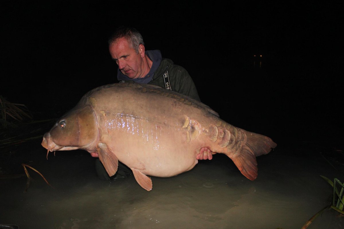FoxInt's tweet photo. THATS A CHUNK!
66lbs of French Mirror for Fox sponsored Tim Oatley! Top work fella! #Camotex #Armapoints  #Edges http://t.co/cdsnW2OL1k