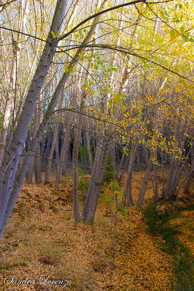 #Planes (#Alicante) thespanishproperty.com/blog/