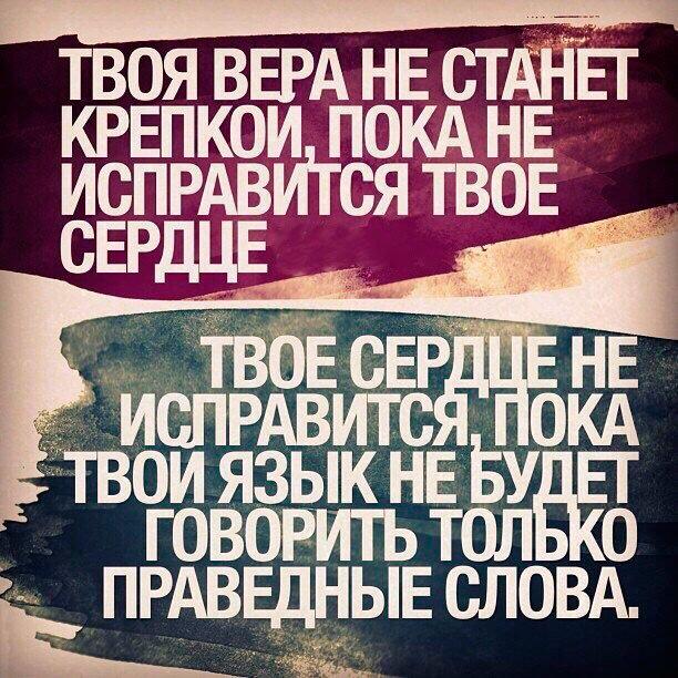 Islam_edin's tweet photo. Следите за сердцем и за языком. http://t.co/CDpDLukAkx