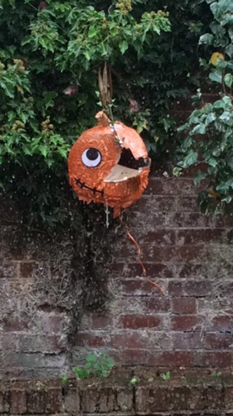 Louisa S-H tweet media