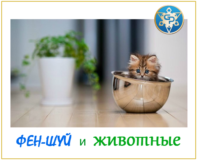 milka22222's tweet photo. #заработок_в_сети@at_globalpromotion_official

ФЕН-ШУЙ и ЖИВОТНЫЕ

Наличие д http://t.co/GfdkUSpJBG