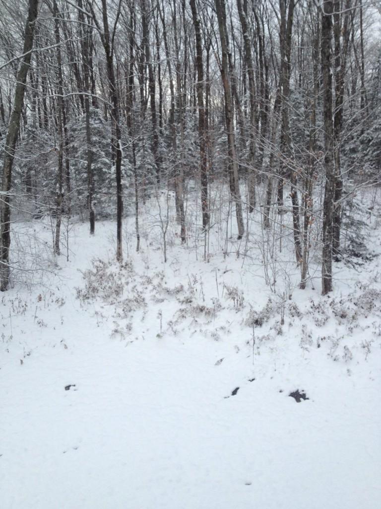 angmckooy's tweet photo. So... It's not a snow day?! #wishfulthinking http://t.co/23R4UDHeGq
