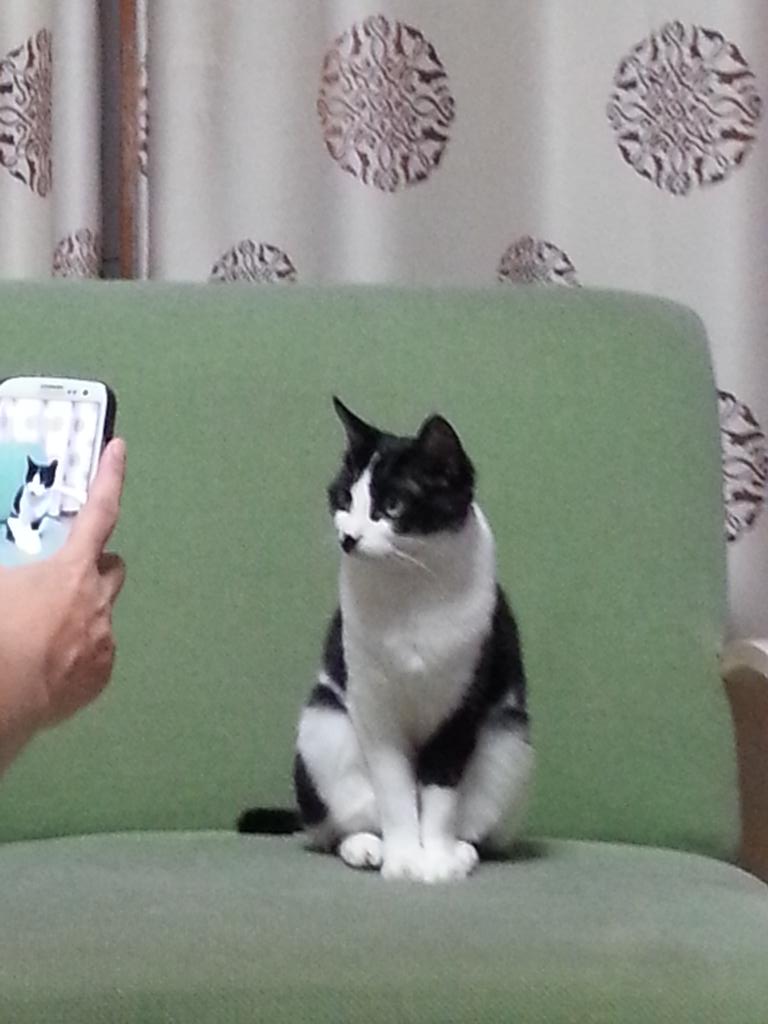socks101 (@amolf) on Twitter photo 