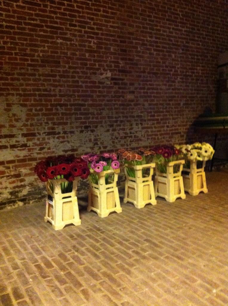 HolsteinFlowers's tweet photo. Tomorrow: the 4th Floral TweetJam! @FlowerFactor_NL @pimdesigned #ourflowersarearrived! #ftj4 http://t.co/WNriHXIWQf