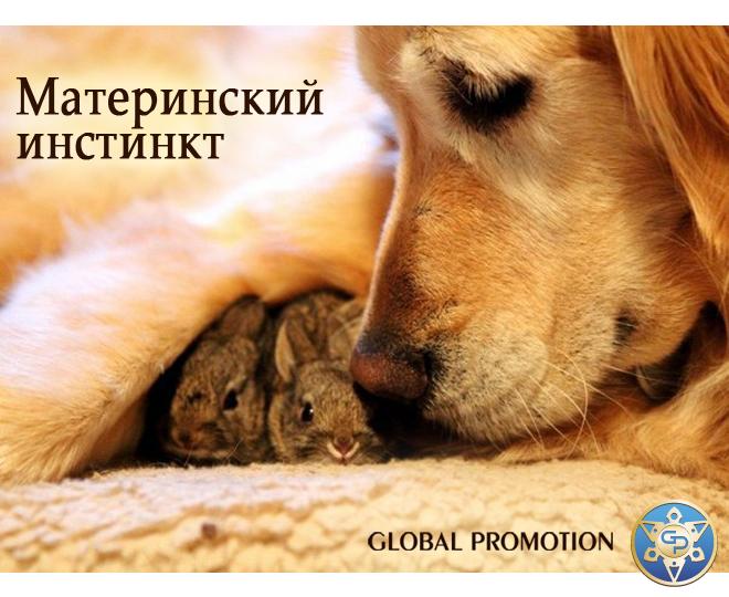 #заработок_в_сети@at_globalpromotion_official  
#это_интересно@at_globalpromotion_official