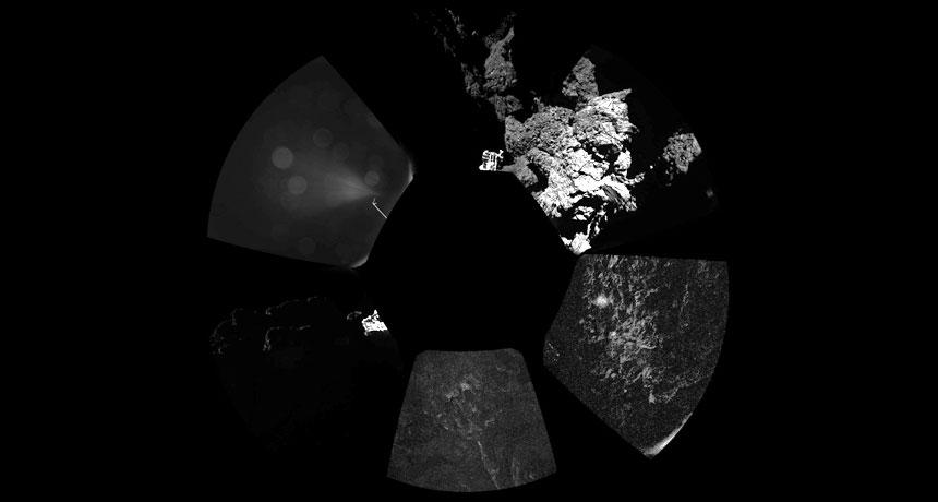 Science News tweet media