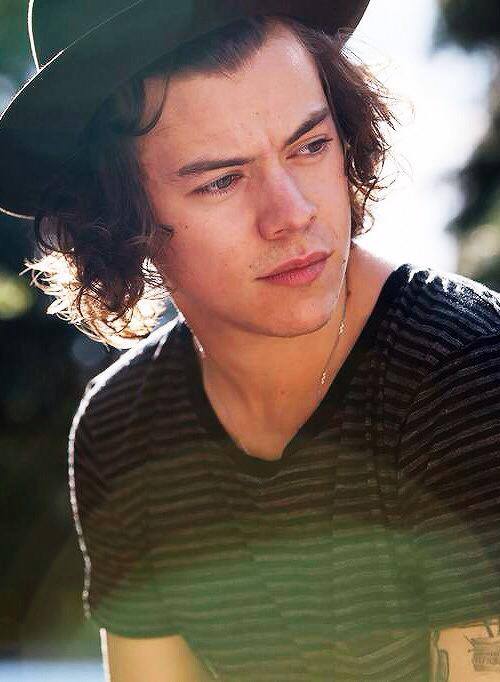 Harry Styles Brasil tweet media