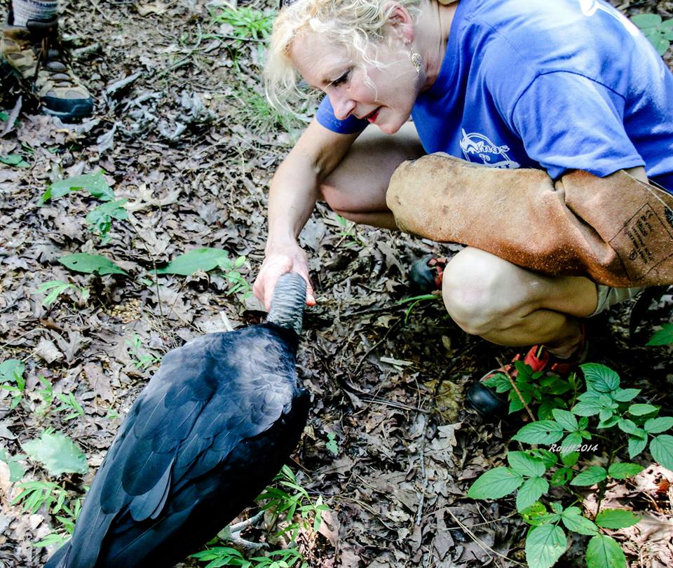 RaptorsSoar's tweet photo. Check out Wings to soars educational Raptor Experience. http://t.co/ThrwXmmcgZ. http://t.co/cz1jcmAcXE