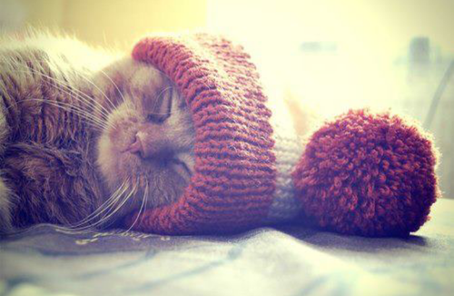 Modachica1's tweet photo. Yo me pongo gorros en invierno ¿Y tu? http://t.co/HuI2dB57Zk