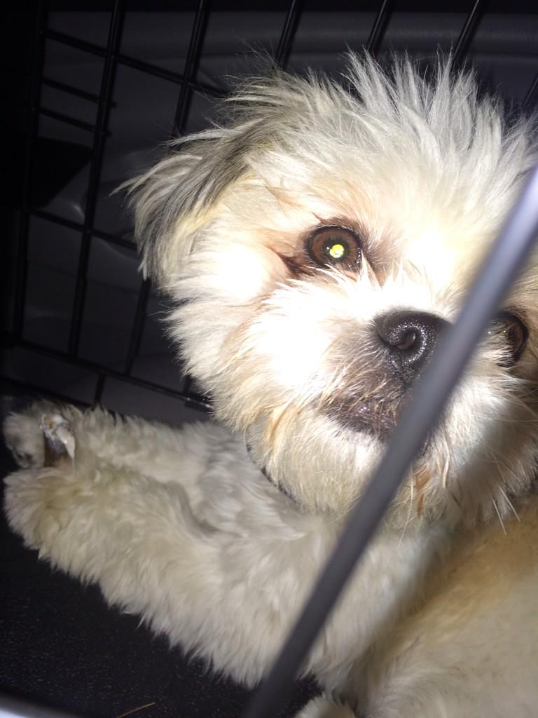 The worst curse is a lie. #RIPODB