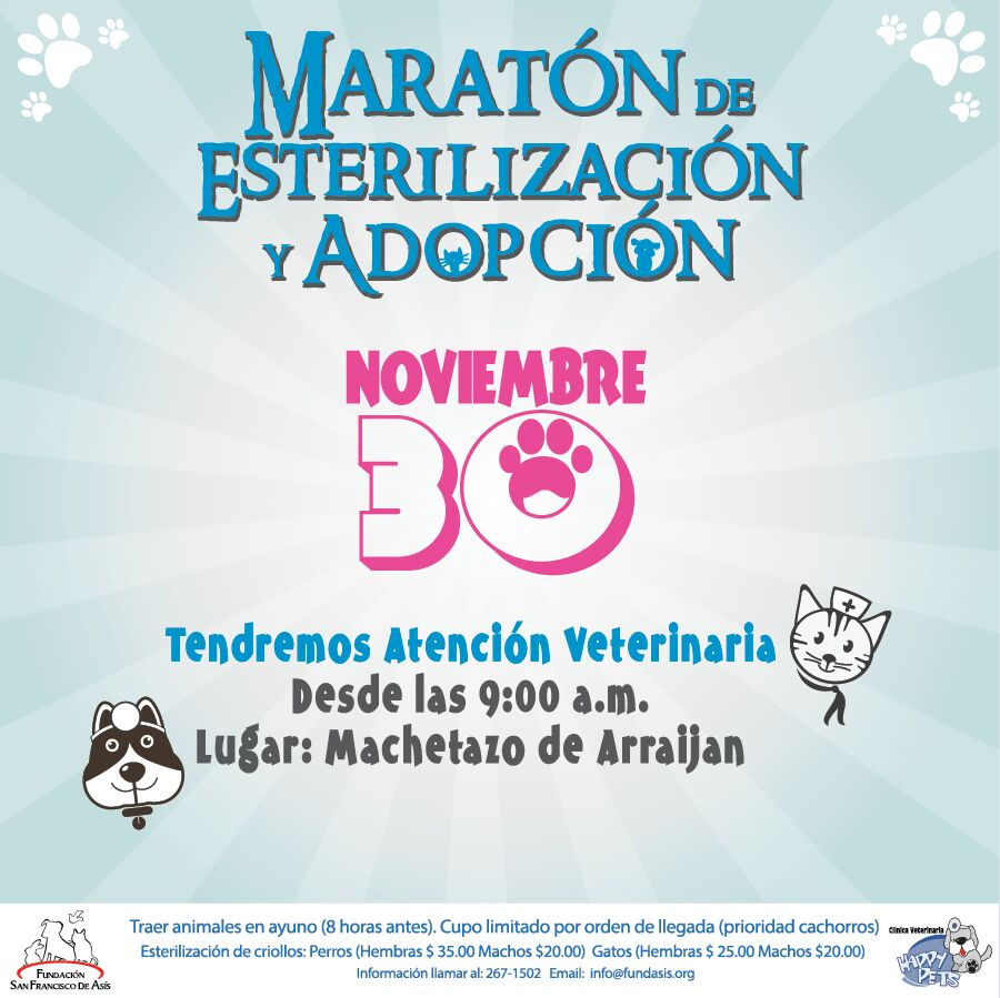 Fundación San Francisco de Asís ( FUNDASIS ) tweet media