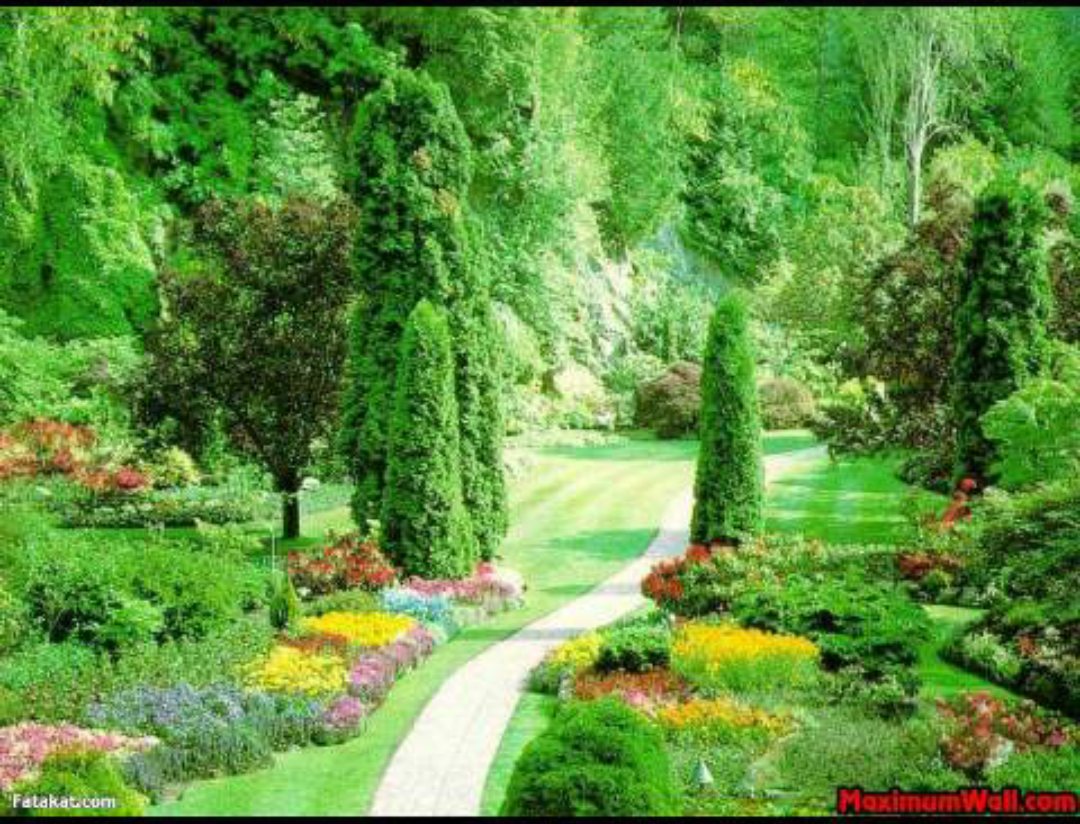 GeHd's tweet photo. الله يجمعناءفي الدنياءعلى الطاعه وفي الاخره في الجنه http://t.co/IIcIMdfNen
