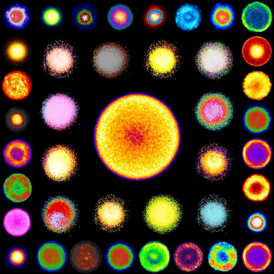 Discover this  publication. Acknowledgement to Pr. Alistair N. Hume for sharing this image ! ow.ly/EdiVa