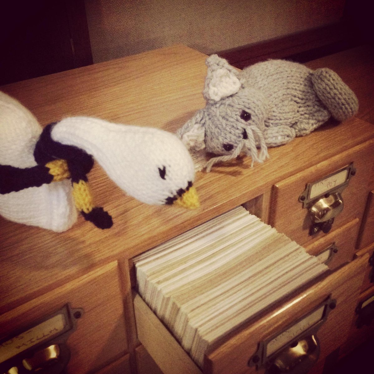 StHughsLibrary's tweet image. Hope your 5th week is going well! (But just in case-here's more Hughie and Dewey!) #FifthWeekBlues #LibraryMascots