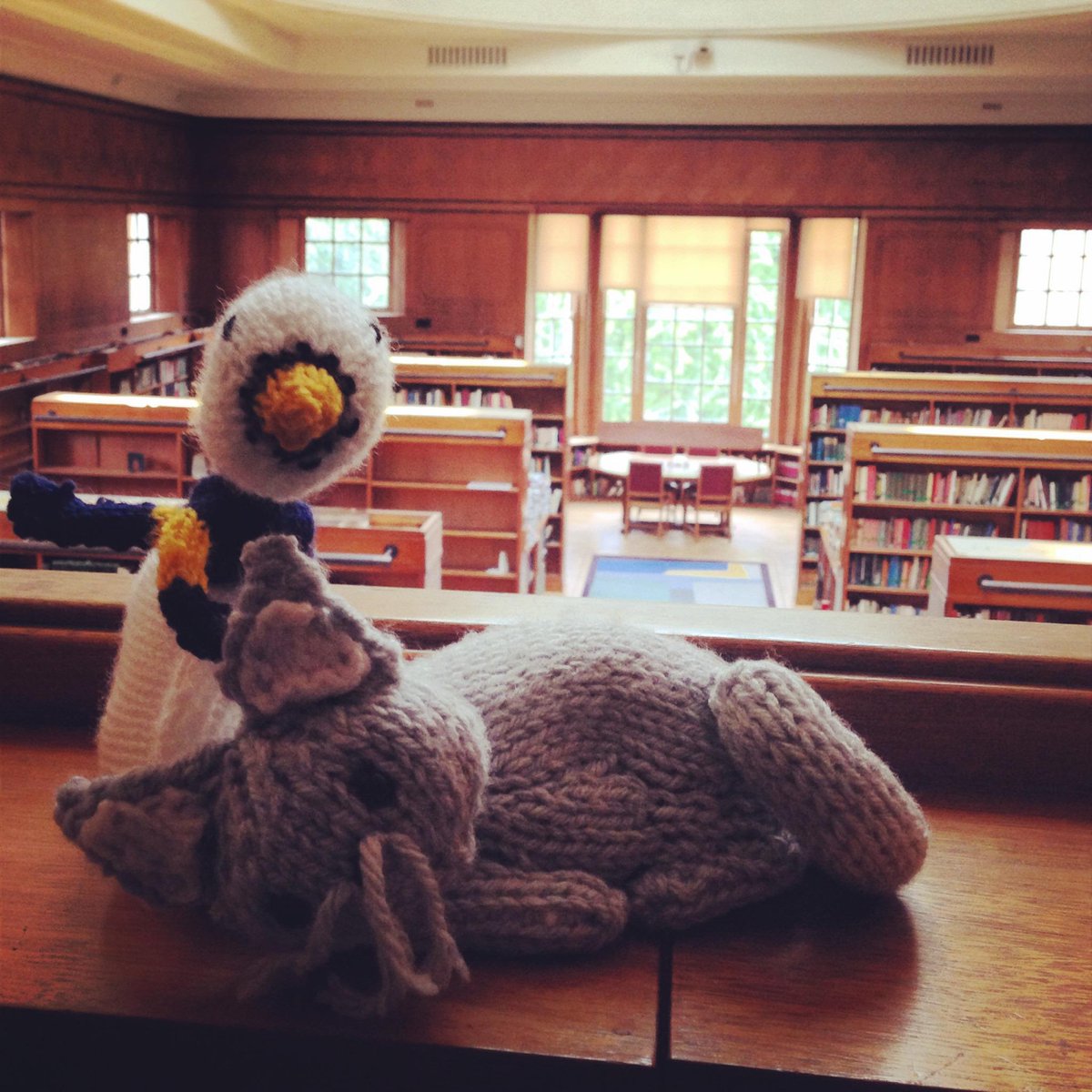 StHughsLibrary's tweet image. Hope your 5th week is going well! (But just in case-here's more Hughie and Dewey!) #FifthWeekBlues #LibraryMascots