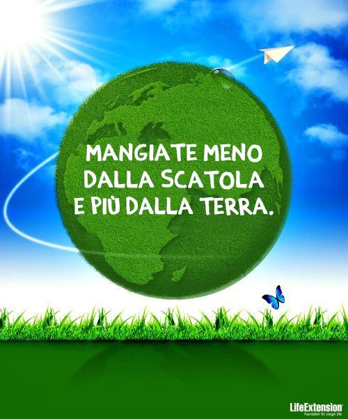 LifeExtensionIT tweet picture