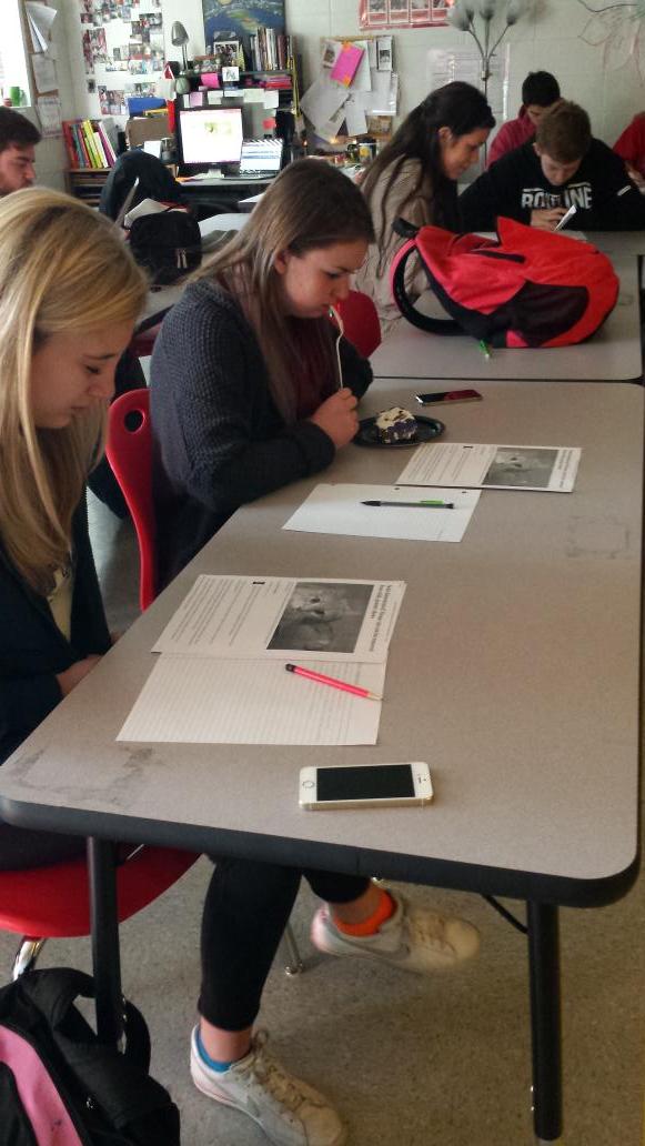 Thesarafloyd's tweet photo. #criticalthinkingthursday @ib_ohs psychology Activity: inquiring about psychology of domesticated cats Vs. Wildcats http://t.co/RSUqMMgriZ