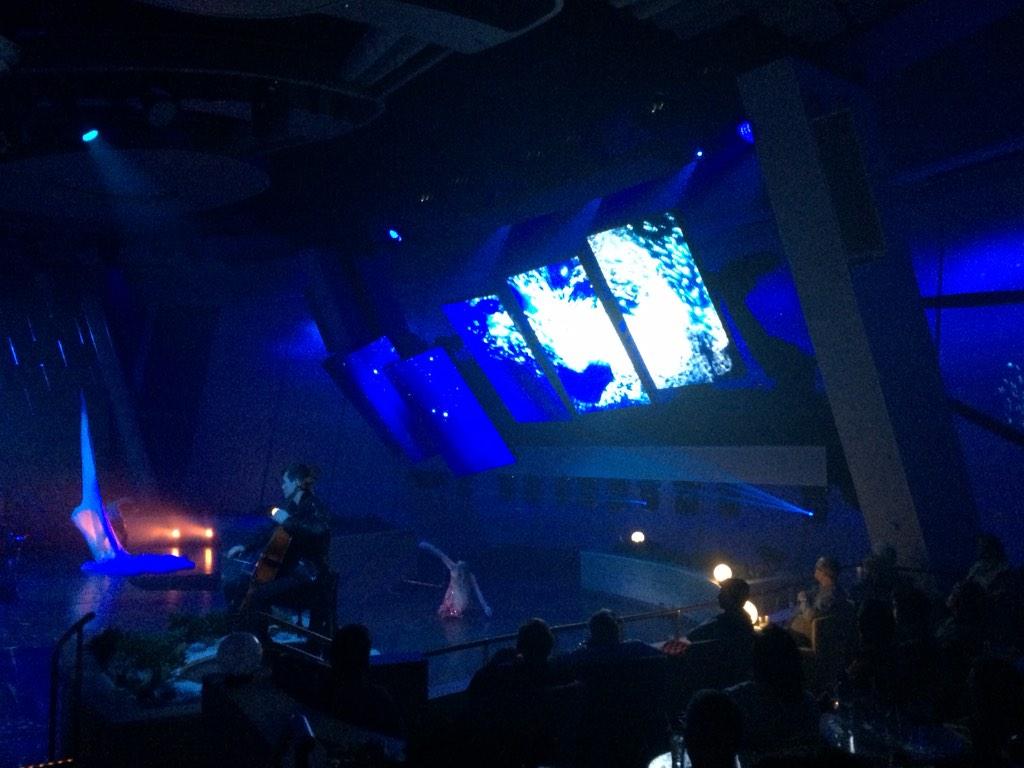 EcoChambers's tweet image. #RoboScreens in action on board @RoyalCaribbean #QuantumoftheSeas @ABBRobotics @ABBgroupnews