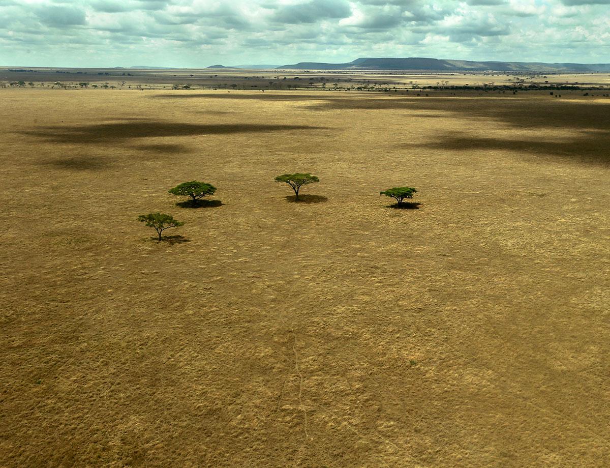 newscientist's tweet photo. The depressing truth about the world's 'paper parks' http://t.co/uM2GOxOnRF http://t.co/M19iCRpWPL