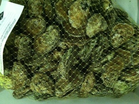 NCfinestfish's tweet photo. Bodie Island cultured oysters  from North Carolina http://t.co/MtwyhHqz3g