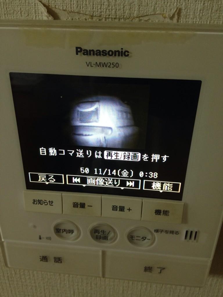 尾本尚大 Aliinosm Twitter 尾本尚大 Aliinosm Twitter