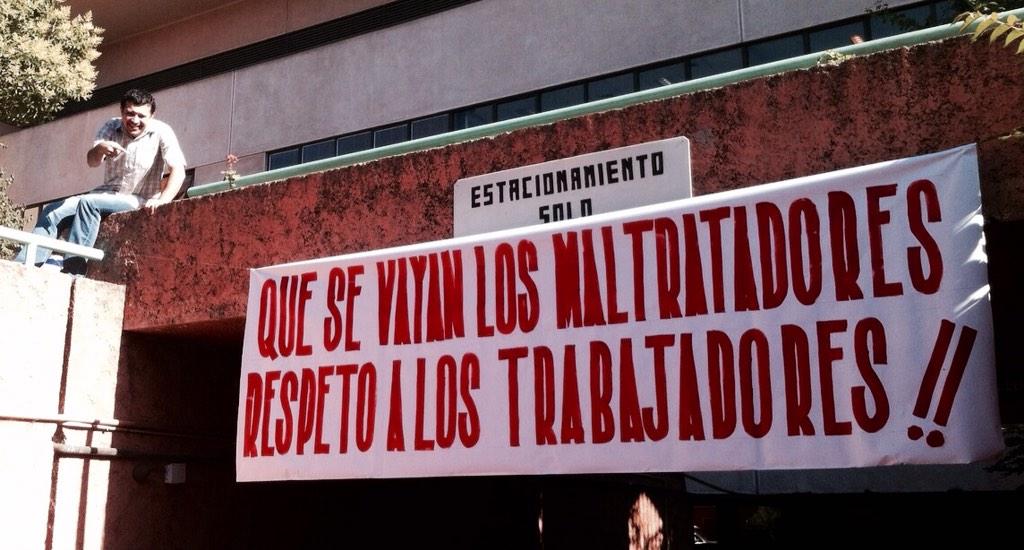 CGalvezL tweet picture