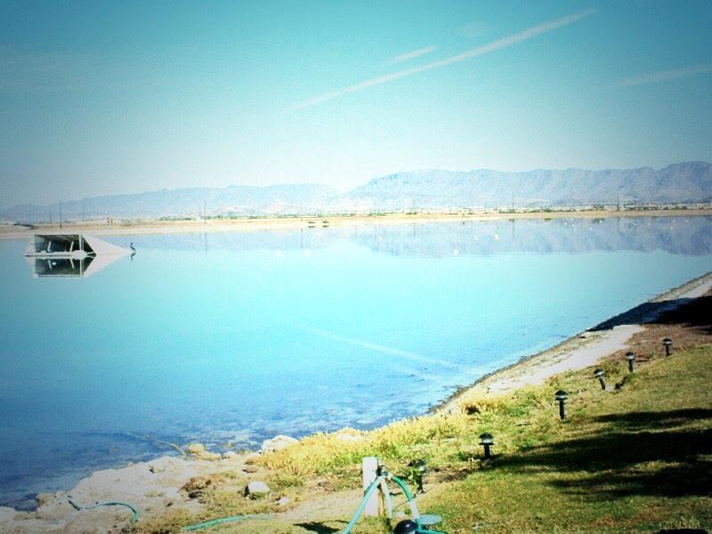 _carlyshannon_'s tweet photo. I can't wait to be here❤️💛 #ASU #FireBirdLake #ForkEm http://t.co/LLMY4HdhMx