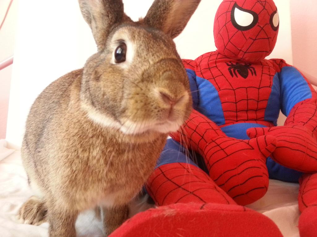 Mom hurry &amp; take a pic! Its Spider-Man!