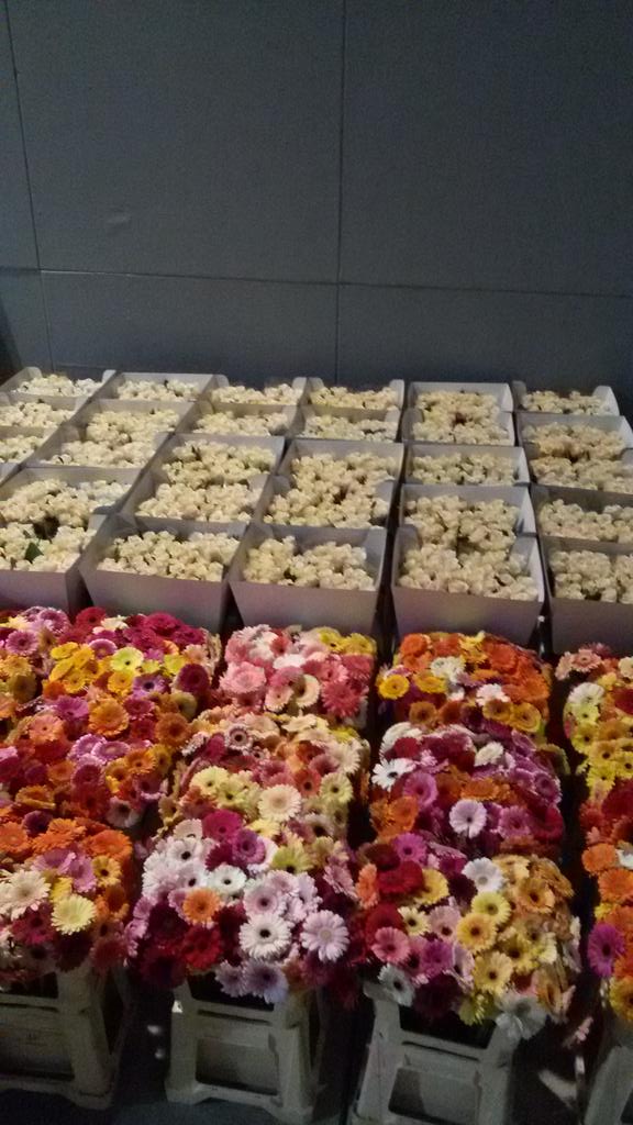 Gerbera's van <a href="/joycelansbergen/">joycelansbergen</a> &amp; #Talea's van <a href="/OSRoses/">Bart van Os</a> afgeleverd @margrietwinterfair voor de artiesten #kwaliteit