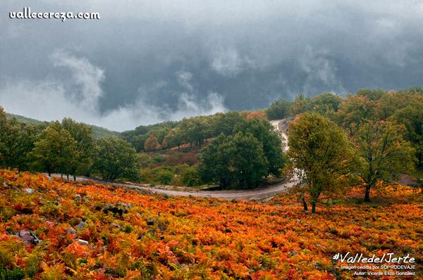 A3Noticias's tweet photo. ¿Es el Valle del Jerte el #MejorPaisajeDeOtoño? Vota por tu favorito http://t.co/v9DATCoMoC Foto: @ValleCereza http://t.co/HKzKPBtK98