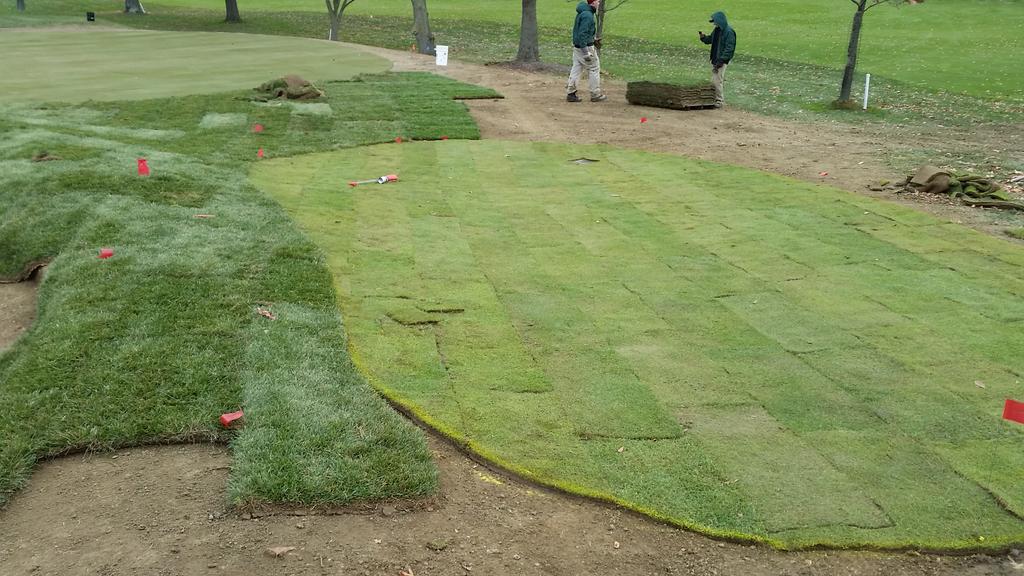 bfrostgolf's tweet photo. Dropping some pallets of fescue today.#cccgrounds http://t.co/hUCi21kFFM