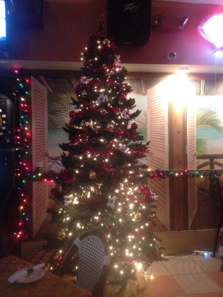 How many gifts can we get under the tree? Toy drive event at Coastal Ale House! #November15 #CCU #H4K