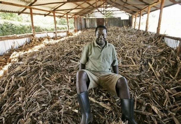 MoseaxKenya's tweet photo. Raila, you will do good in sugarcane farming &amp; your molasses plant.ndio bei ya sukari ipungue. #Railaspeaks RETIRE! http://t.co/heTiqXiSiS