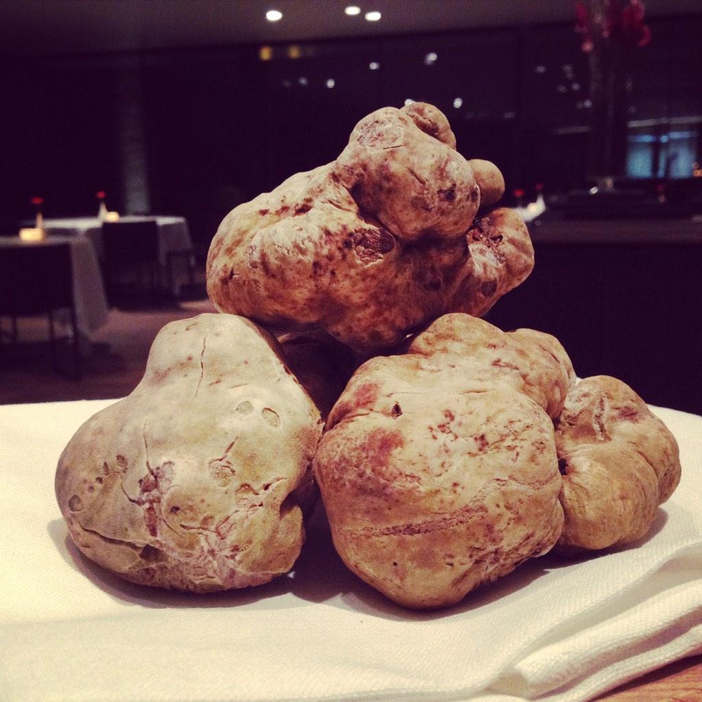 Gertdemangeleer's tweet image. #newarrivals #readyforservice #fullhouse #hertogjan