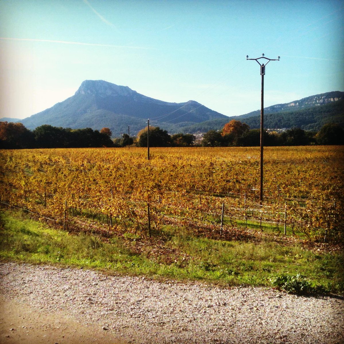 Château LA CASTILLE tweet media