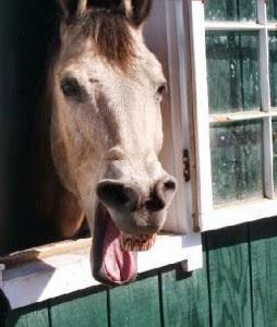 joerbickel's tweet photo. You've got that famous smile. #datgrill #plsstop #shutthefrontdoor http://t.co/QTwbNAdFlv