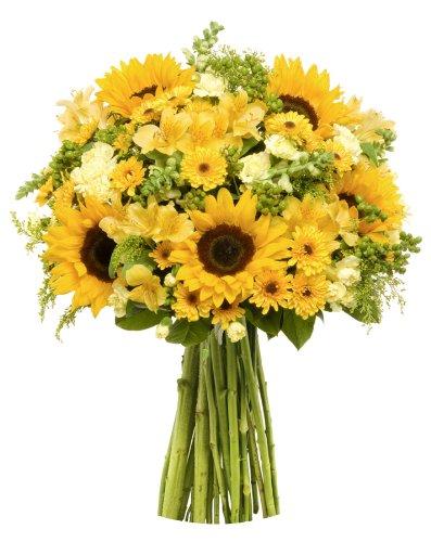 YourFlowersUS's tweet photo. Rays of Sunshine - Without Vase - http://t.co/ZHTsk9jvVV http://t.co/Hebrz1JDJI
