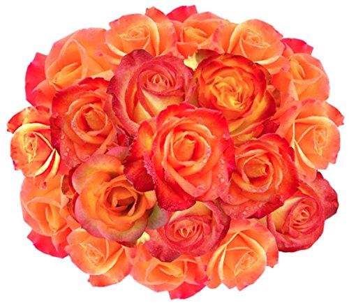 YourFlowersUS's tweet photo. Flowers For Delivery - Impress Her With 25 GIANT, Bi-Color YELLOW &amp; ORANGE (Or Choose ... - http://t.co/WFvCVg0r5B http://t.co/d7bIhnyEyt