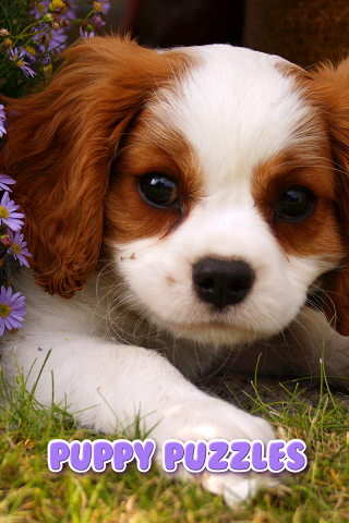 Our new #Kids #iOS #Game #Puppy #Jigsaw #Puzzles and goes free now! itunes.apple.com/us/app/puppy-j… #puppylove